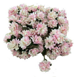 ASTERN 15mm 50Stk Scrapbooking Maulbeerpapier Blumen Flowers, weiß-rosa