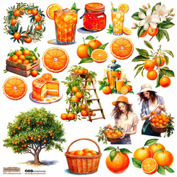AUFKLEBER - ScrapLove - Oranges 1 - Orangen 1