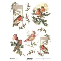 Decoupage Papier, Vögel, Stechpalme A4 SOFT ITD-S182