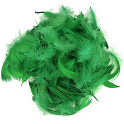 FEDERN Bastelfedern Dekofedern Feathers 10g/1-10cm, grün