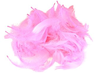 FEDERN Bastelfedern Dekofedern Feathers 10g/1-10cm, rosa