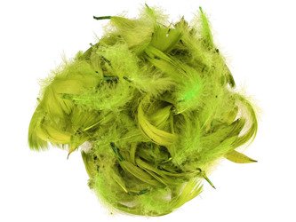 FEDERN Bastelfedern Dekofedern Feathers 10g/6-10cm, grün