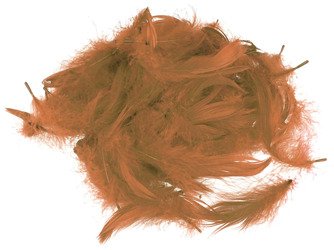 FEDERN Bastelfedern Dekofedern Feathers 10g/6-10cm, hellbraun