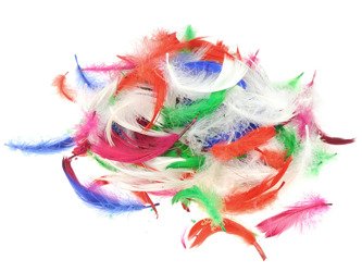 FEDERN Bastelfedern Dekofedern Feathers 10g/6-10cm, mehrfarbig