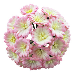 GÄNSEBLÜMCHEN 50Stk Scrapbooking Maulbeerpapier Blumen Flowers, rosa cremefarben