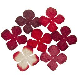 HORTENSIONEN Papierblumen, Rote Mix 35mm - 100 Stück