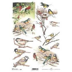 ITD Decoupage-Papier SOFT ITD-S184 Vögel