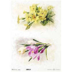 ITD Reispapier Decoupage Bastelpapier Serviettentechnik, A3 R0813L Krokusse, gelbe Blüten