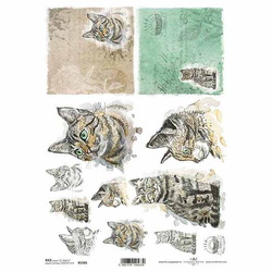 ITD Reispapier Decoupage Bastelpapier Serviettentechnik-R1565 - A4 Tiere, Katze, Katzen, Kätzchen, Kätzchen, Katzenköpfe, Schriftzug, Happy Farm, Happy Farm, Hintergrund