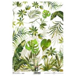 ITD Reispapier Decoupage Bastelpapier Serviettentechnik-R1757 monstera Blätter, Palme