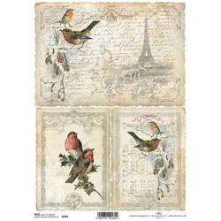 ITD Reispapier Decoupage Bastelpapier Serviettentechnik-R184 Vögel Mistel Stechpalme