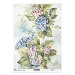 ITD Reispapier Decoupage Bastelpapier Serviettentechnik-R2458 Hortensien