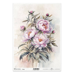 ITD Reispapier Decoupage Bastelpapier Serviettentechnik-R2463 Pfingstrose