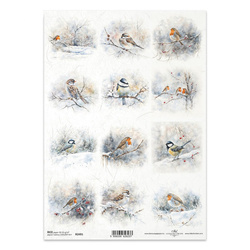 ITD Reispapier Decoupage Bastelpapier Serviettentechnik-R2491 Wintervögel, Rotschenkel, Meisen, Sperlinge