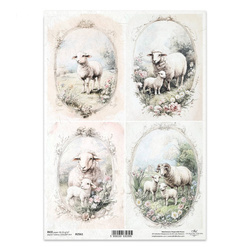 ITD Reispapier Decoupage Bastelpapier Serviettentechnik-R2561 Gerahmtes Schaf