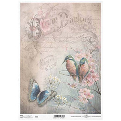 ITD Reispapier Decoupage Bastelpapier Serviettentechnik, R977 Vögel, Schmetterling