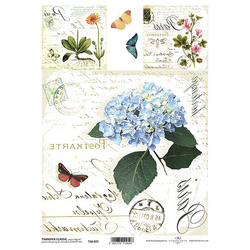 ITD Transferpapier für decoupage, CLASSIC A4 T60-025 Hortensienblüten