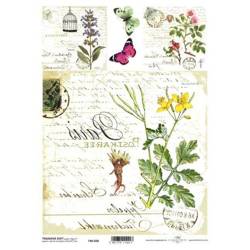 ITD Transferpapier für decoupage SOFT A4 T40-028 Feldblumen