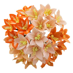 LILIEN 30mm 50Stk Scrapbooking Maulbeerpapier Blumen Flowers, pfirsich orange mix