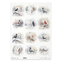 Reispapier Decoupage Bastelpapier für Decoupage A3 ITD-1329L Wintervögel, Raben, Krähen, Kardinal, Trottellumme