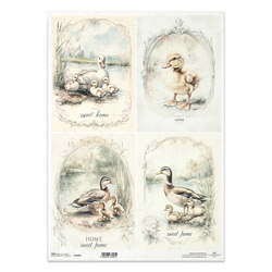 Reispapier Decoupage Bastelpapier für Decoupage A3 ITD-1403L Enten Entenküken