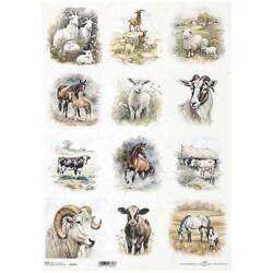 Reispapier für Decoupage-Platten A3 ITD-1187L Schafe, Pferde, Kühe, Ziegen