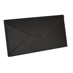RzP Box, Umschlag 3D DL Schwarz 11x22x1.5