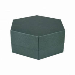 RzP Hexagon grüne Box 6x15
