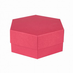 RzP Hexagon rot Box 6x15