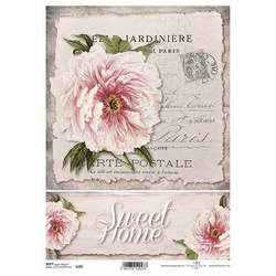 itd Decoupage-Papier A4 SOFT ITD-S0326 Pfingstrose