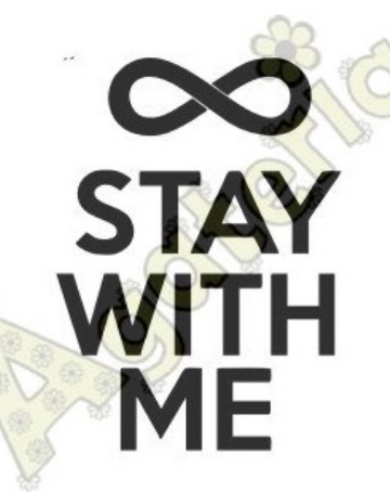 AGATERIA - Transparent Stempel Motivstempel Clear Stamp - Stay with me Untertitel EN