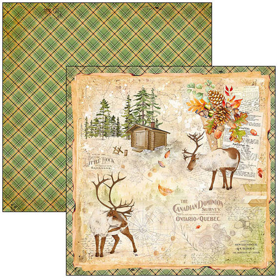 CIAO BELLA Satz 11Stk 30x30cm doppelseitigen Scrapbooking Papier - Into the wild