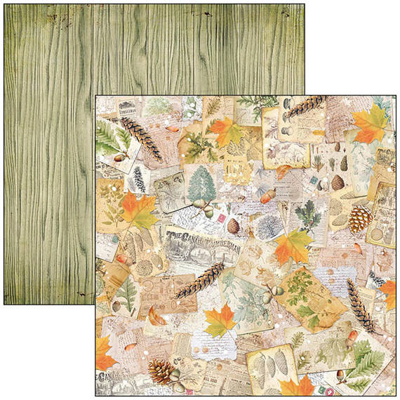 CIAO BELLA Satz 11Stk 30x30cm doppelseitigen Scrapbooking Papier - Into the wild