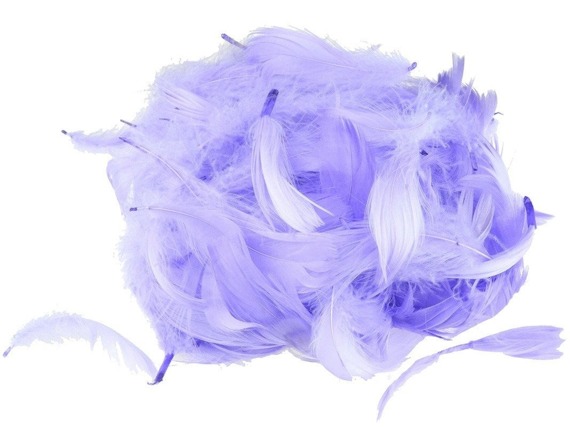 FEDERN Bastelfedern Dekofedern Feathers 10g/1-10cm, lila