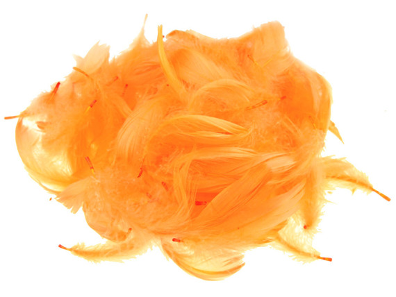 FEDERN Bastelfedern Dekofedern Feathers 10g/1-10cm, orange