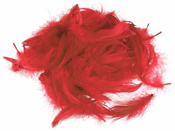 FEDERN Bastelfedern Dekofedern Feathers 10g/1-10cm, rot