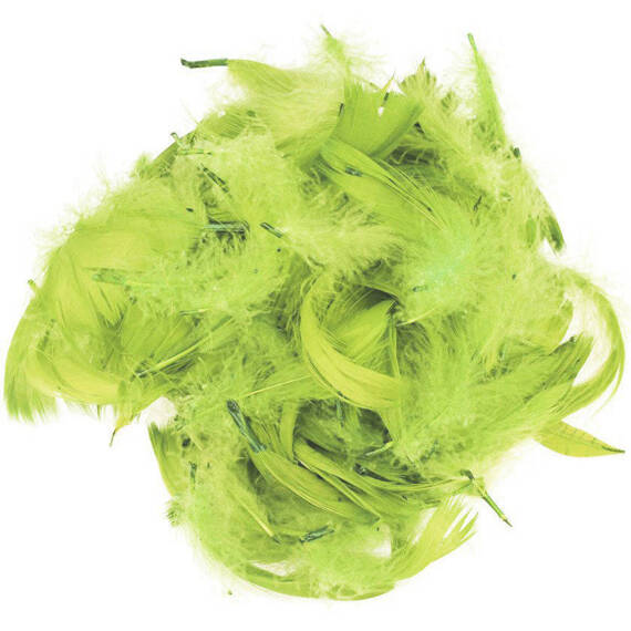 FEDERN Bastelfedern Dekofedern Feathers 10g/6-10cm, grün