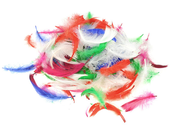 FEDERN Bastelfedern Dekofedern Feathers 10g/6-10cm, mehrfarbig