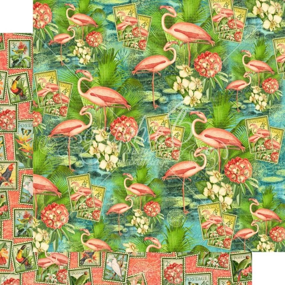 GRAPHIC45 30x30cm doppelseitig Scrapbooking Papier Designpapier, Flamingo Lagoon