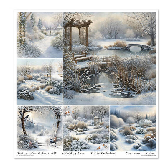 ITD COLLECTION Setz 11Stk 30x30cm Scrapbooking Papier - Botanical Garden in Winter