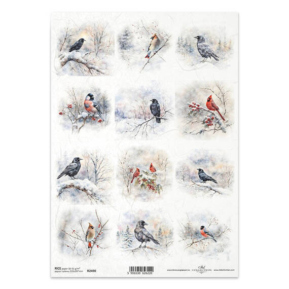 ITD Reispapier Decoupage Bastelpapier Serviettentechnik-R2490 Vögel, Raben, Krähen, Kardinal, Trottellumme