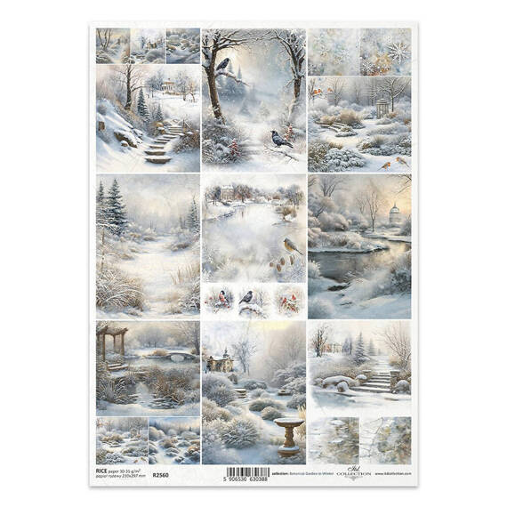 ITD Reispapier Decoupage Bastelpapier Serviettentechnik-R2560 Wintergartenvögel