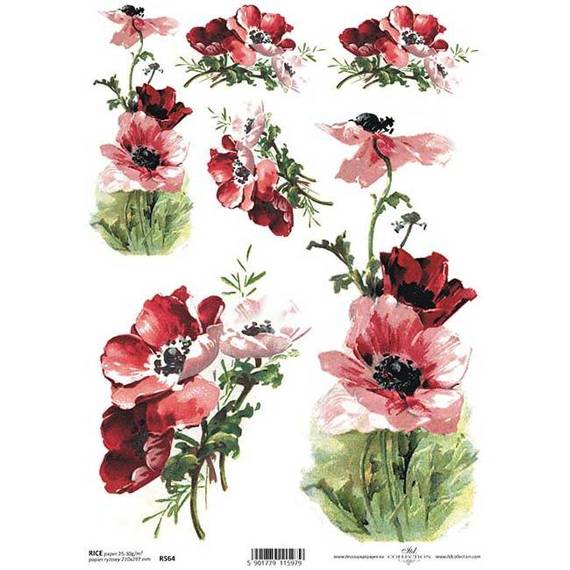 ITD Reispapier Decoupage Bastelpapier Serviettentechnik-R564 - A4 Mohnblumen