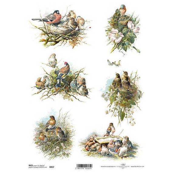 ITD Reispapier Decoupage Bastelpapier Softpapier, R857 Vögel, Vogelnester