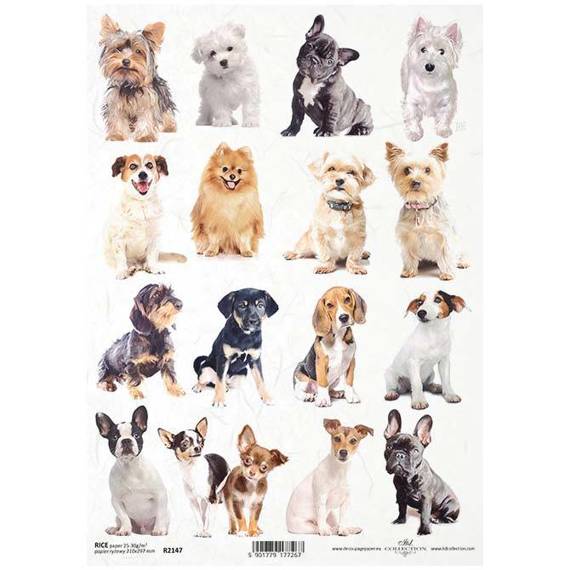 ITD Reispapier Decoupage Bastelpapier Softpapier Serviettentechnik, Hunde R2147