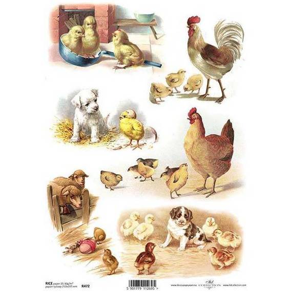 ITD Reispapier Decoupage Bastelpapier Softpapier Serviettentechnik, Tiere R472