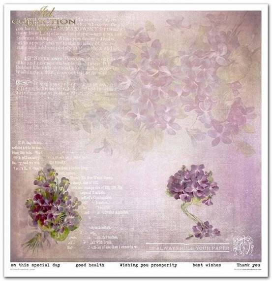 ITD Set 11 Stk 31x32cm einseitig Scrapbooking Papier 200g, Flower Post Violet