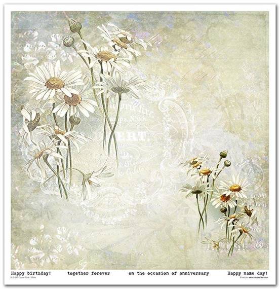 ITD Set 11 Stk 31x32cm einseitig Scrapbooking Papier 200g, Flower Post - White