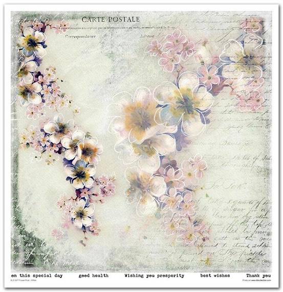 ITD Set 11 Stk 31x32cm einseitig Scrapbooking Papier 200g, Flower Post - White