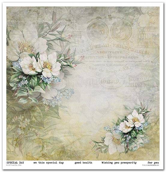 ITD Set 11 Stk 31x32cm einseitig Scrapbooking Papier 200g, Flower Post - White